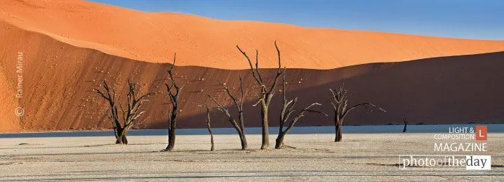 Deadvlei by Rainer Mirau