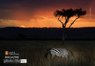 Sunset in Maasai Land, by Orhan Aksel
