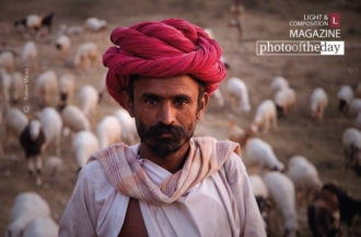 The Ranakpur Shepherd by Kristian Bertel