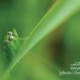 Photo of the day 050320121