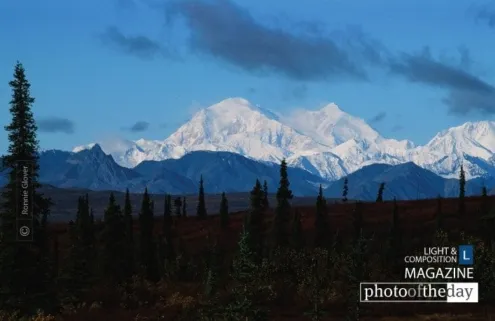 Mt.McKinley by Ronnie Glover