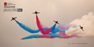 The Reds by Kurien Koshy Yohannan