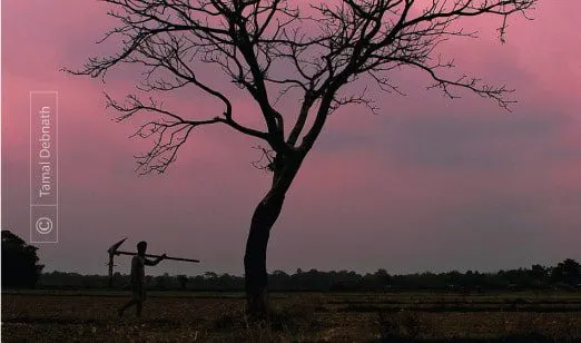 Under the Twilight Sky by Tamal Debnath