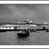 Casting Hope Across the Flowing Tide by Shahnaz Parvin