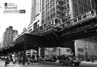 Harmony by Keeny Newton