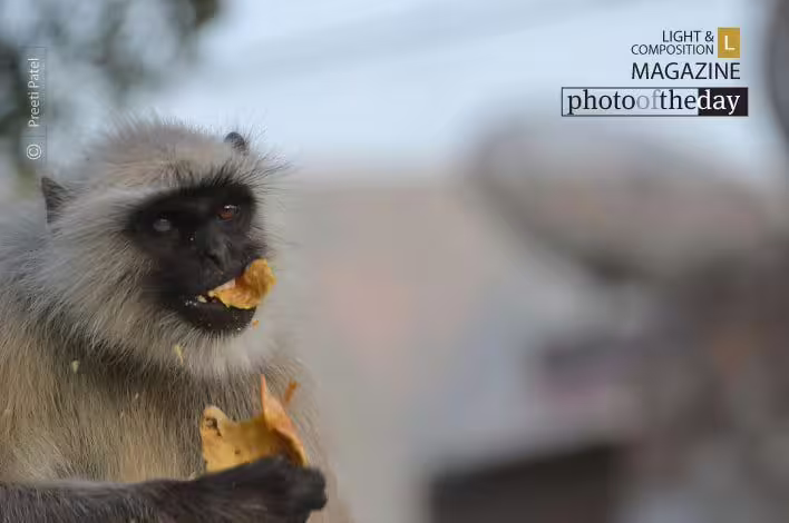 Snack Time by Preeti Patel