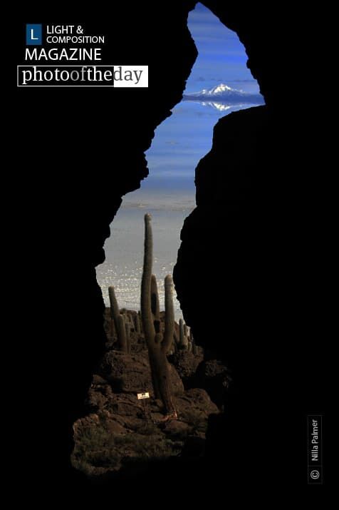 Cactus Island Glimpse, by Nilla Palmer - Travel Photography, Award Winning Photography, Photo of the Day, Nilla Palmer, Photography Education