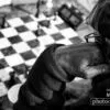 Chess Player, by Bobi Dojcinovski - Black and white photography, Street photography, Photo awards, Photography, Photo of the day