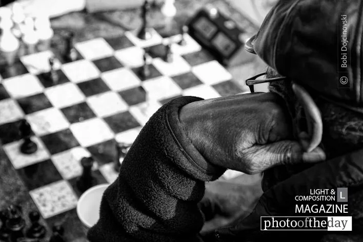 Chess Player by Bobi Dojcinovski