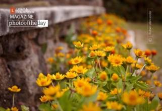 Just Like That by Ruben Alexander