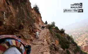 The Path, by Faisal Khan - Travel Photography, Photo of the Day, Award Winning Photography, Photojournalism, Faisal Khan
