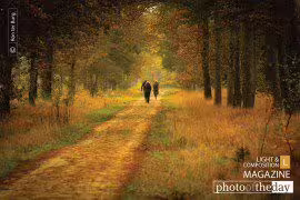 Autumn Walk in the Park by Ron ter Burg
