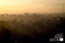 Concrete Jungles by Yasef Imroze