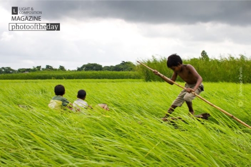 Voyage Through Nature, by Shahnaz Parvin - Photojournalism, Documentary Photography, Photography Awards, Photo of the Day, Light & Composition