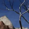 Zion National Park by Sergiy Kadulin
