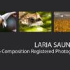 Laria Saunders - Award-winning photographer, Art Photography, Collage Photography, Photo of the Month, Light & Composition