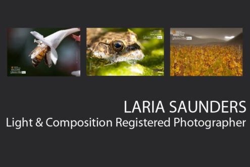 Laria Saunders - Award-winning photographer, Art Photography, Collage Photography, Photo of the Month, Light & Composition