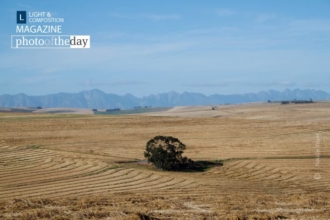 The Overberg by Naude Visser