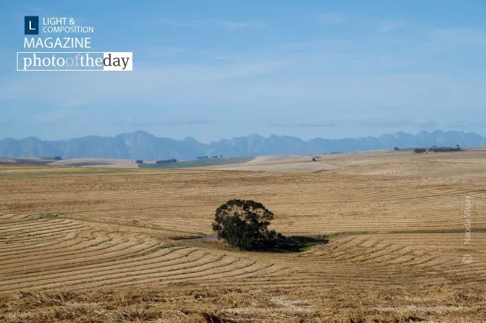 The Overberg, by Naude Visser - Landscape Photography, Photography Awards, Photo of the Day, Nature Photography, Light & Composition