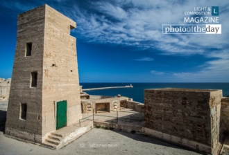 To the Sea, by Sébastien Beun