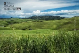 A Sea of Grass by Sébastien Beun