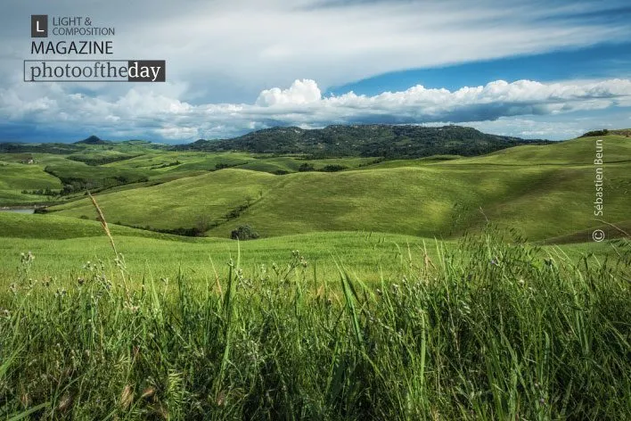 A Sea of Grass by Sébastien Beun