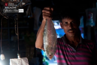 Hilsa by Ashik Masud