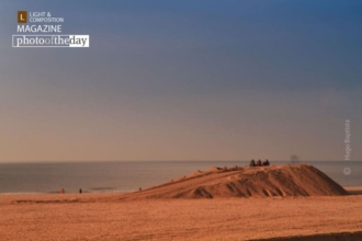 Scheveningen Dune by Hugo Baptista