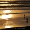 Wonders of Nature, by Simran Nanwani - Nature Photography, Sunset Photography, Photography Awards, Photo of the Day, Art Photography
