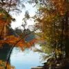 A November Morning by Henri Coleman