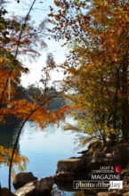 Stillness
