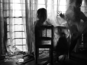 Shadows of Life by Ahmad Jaa