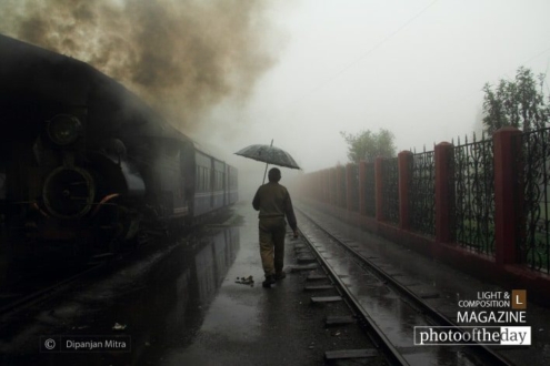 A Walk in the Rain, by Dipanjan Mitra - Travel Photography, Photo of the Day, Award Winning Photography, Photography Education, Light & Composition University