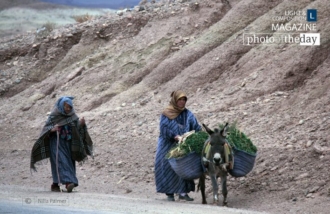 Off to Market by Nilla Palmer