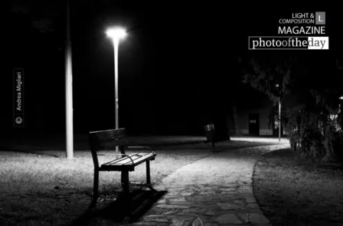 Too Dark Park by Andrea Migliari