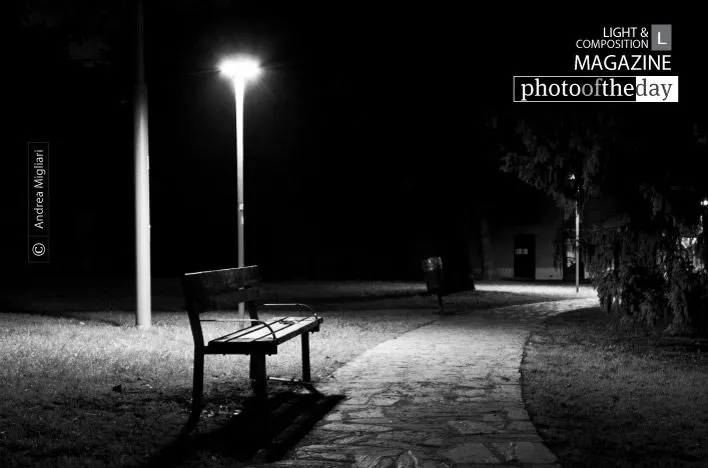 Too Dark Park by Andrea Migliari