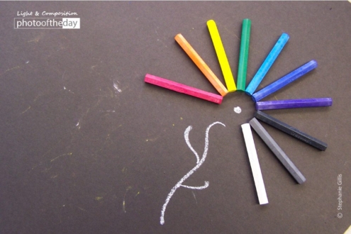 Chalk Flower, by Stephanie Gillis - Still Life Photography, Photography Award, Photo of the Day, Photography Education, Online Photography Courses