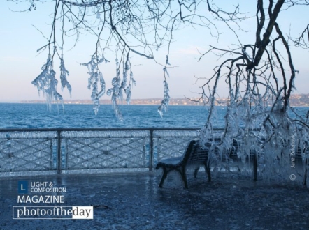 I said freeze! by Jana Z - Nature Photography, Photography Awards, Photo of the Day, Art Photography, Online Photography Courses