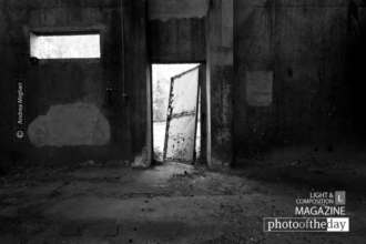 The Exit Strategy by Andrea Migliari