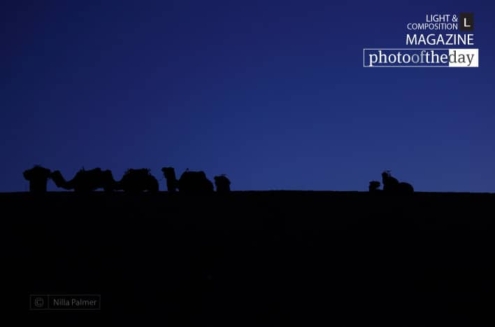 Saharan Silhouette, by Nilla Palmer - Artistic Photography, Photography Awards, Photo of the Day, Sahara, Nilla Palmer