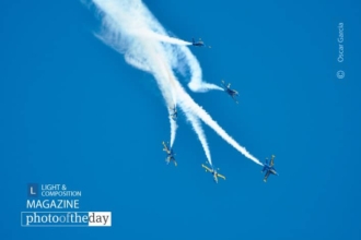 Blue Angels Flower by Oscar Garcia