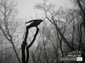 Bless the Broken Road by Sandra Frimpong