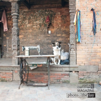 I'll Wait Right Here, by Jana Z - Street Photography, Photography Awards, Photo of the Day, Award Winning Photography, Jana Z