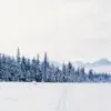 Across the Winter Landscape by Ronnie Glover