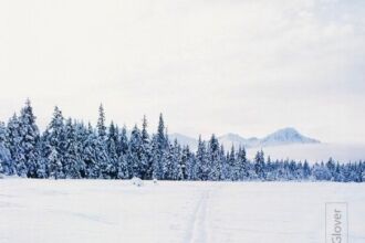 Landscape Photography, Photography Awards, Photo of the Day, Art Photography, Nature Photography – Across the Winter Landscape, by Ronnie Glover Across the Winter Landscape, by Ronnie Glover - Landscape Photography, Photography Awards, Photo of the Day, Art Photography, Nature Photography