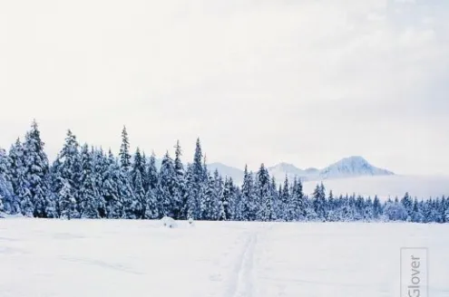 Across the Winter Landscape by Ronnie Glover