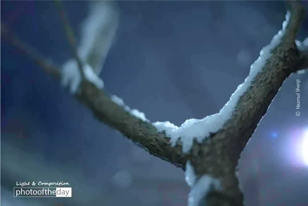 Midnight Snow by Madoka Hori