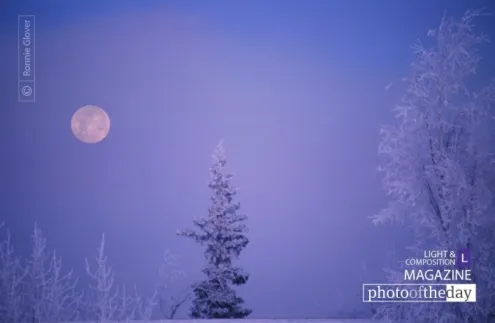 Frosty Moon by Ronnie Glover