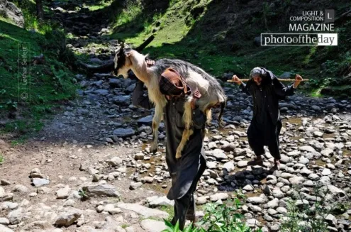 An Old Shepherd, by Lothar Seifert - Photojournalism, Photography Awards, Travel Photography, Documentary Photography, Lothar Seifert