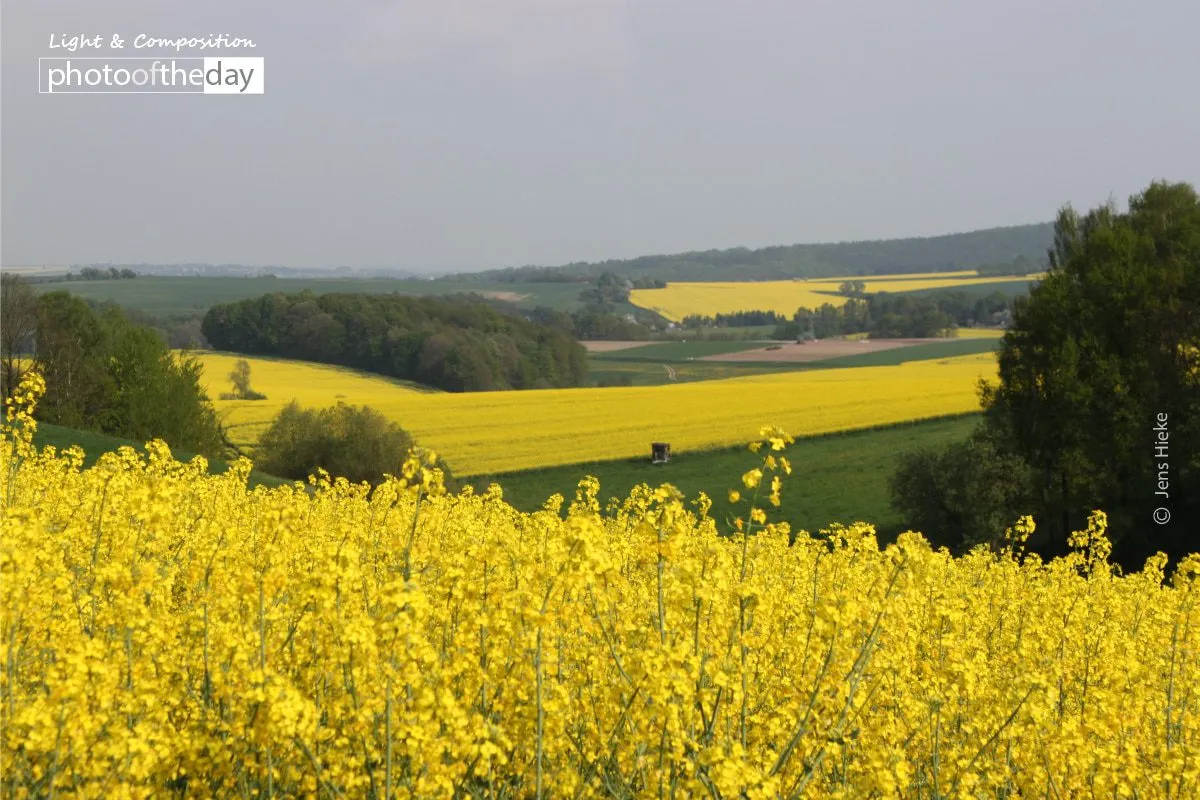 World in Yellow and Green, by Jens Hieke - Nature Photography, Color Photography, Photo of the Day, Photography Awards, Landscape Photography